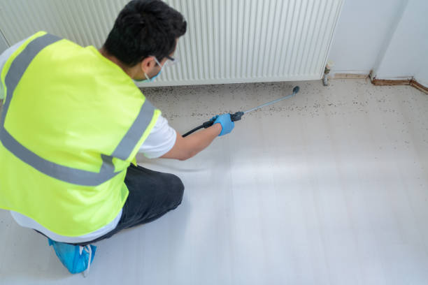 Best Pest Prevention Services  in East Porterville, CA